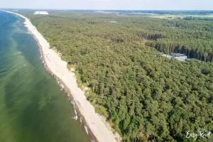 Szumi Sosna - Apartament Studio - Premium - Sea Shell Łukęcin - Łukęcin