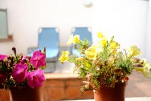 Maison al Massimo - City Center Full Apartment