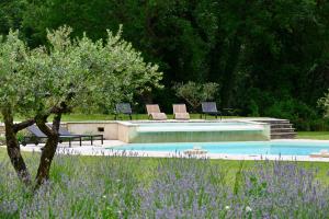 Villas Villa Feijoa en Provence : photos des chambres