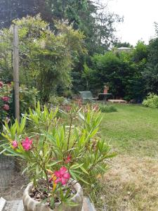 B&B / Chambres d'hotes Le petit chemin : photos des chambres