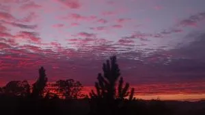 Sítio FM - آراساريغواما