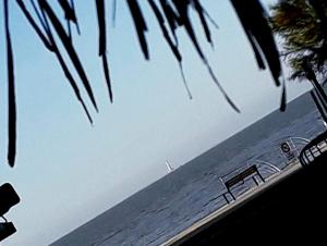 Appartements Studio Le Charentais - logement de vacances 4 personnes bord de mer : photos des chambres