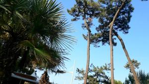 Appartements Studio Le Charentais - logement de vacances 4 personnes bord de mer : photos des chambres