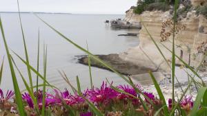 Appartements Studio Le Charentais - logement de vacances 4 personnes bord de mer : photos des chambres