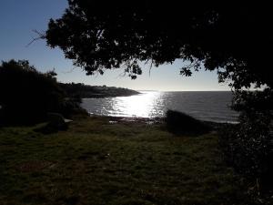 Appartements Studio Le Charentais - logement de vacances 4 personnes bord de mer : photos des chambres