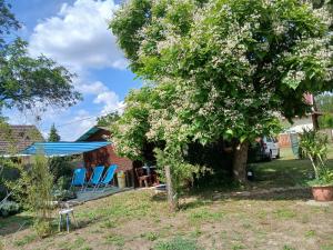 Kék-Fehér Mobilház