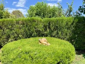 Sias Cozy House - 卡拉姆西