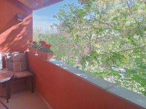 Apartament Miloia-Timisoara