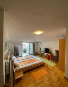 Modern Studios in Ohrid