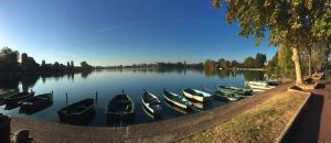 Appartements Lac Zen & Frissons des JO 2024 : photos des chambres