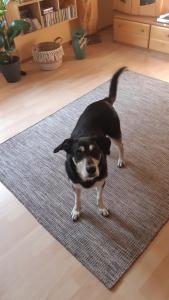 Ferienwohnung Ankert