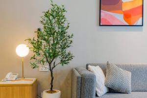 Urban Oasis in the middle of District 1