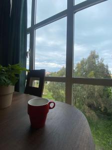 Comfort apartment near Golemi beach