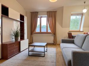 Nemunas Street Apartment