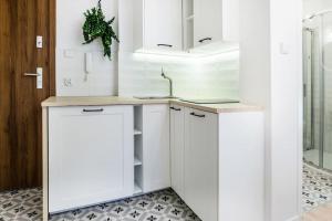 Old Town Apartments - T36b