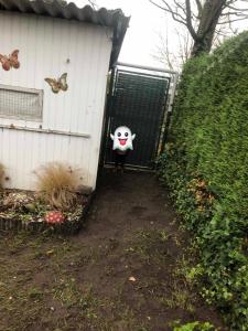 Stacaravan M25 Marina Beach