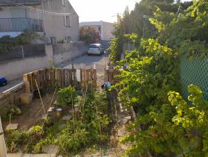 Maison individuelle avec jardin