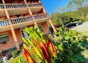 Pensiunea Delia - Izlaz