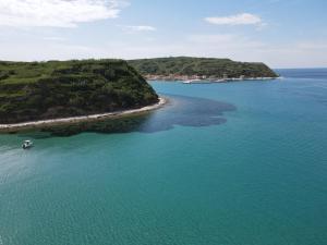 Private Bootstouren Motoryacht