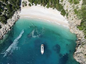 Private Bootstouren Motoryacht