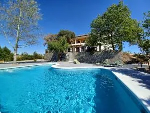 El Geco Verde - Teja