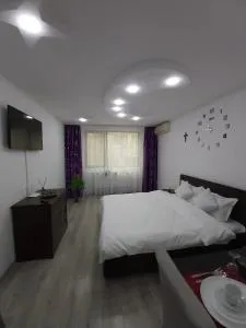 Garsoniera tiglina1 - Ţiglina