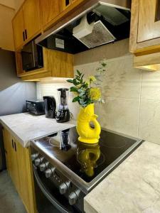 Beautiful Antigua Home AN067