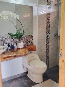 Hermosa Villa La Laja Rionegro