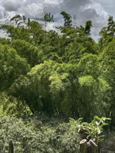 Hermosa Villa La Laja Rionegro
