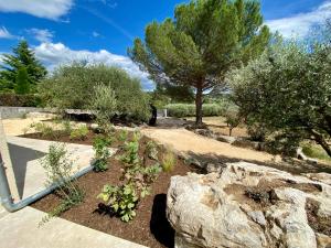 Maisons de vacances Maison pour 12p, piscine a debordement chauffee d-avril a octobre inclus : photos des chambres