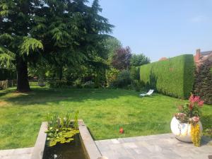 Cedrus