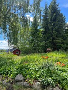 Summer House with Sauna on Beautiful Island