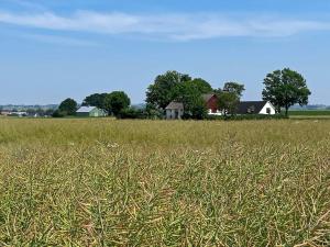 8 person holiday home in SKIVARP