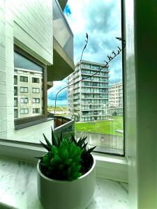 Studio Sia - Lichtrijke studio met balkon met zijzeezicht in hartje de Panne