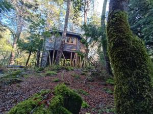 Cabañita del Árbol Cóndor