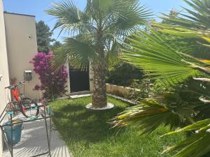 Maisons de vacances Villa avec piscine : photos des chambres