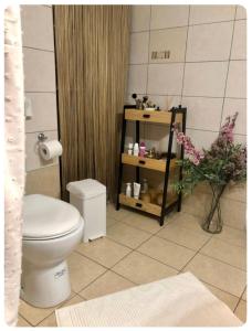 Rosemary modern house in the city center