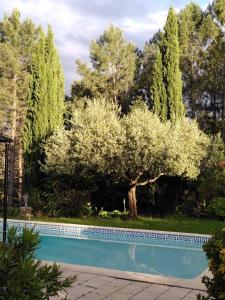 B&B / Chambres d'hotes Brin d Ardeche : photos des chambres