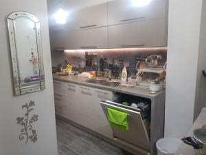 Big Central Belgrade with parking