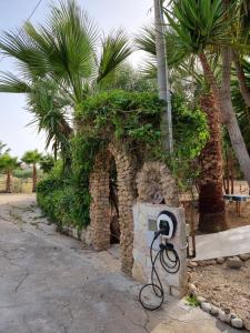 Apartamento - Planta baja