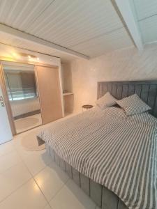 Apparemment lumineux