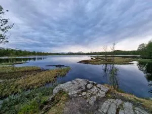 Villa close to the city centre - Åsgård