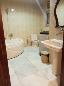 ارقي شقه فندقيه بالمنصوره واطلاله كامله علي النيل