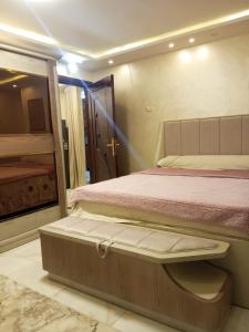 ارقي شقه فندقيه بالمنصوره واطلاله كامله علي النيل