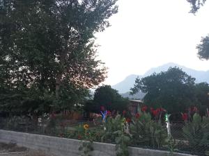 Metenin tatil evleri