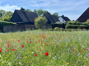 Family home near lake, beach and dunes