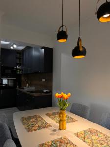 Venima City Center Apartment - 4hvězdičkové hotely ve městě Tivat