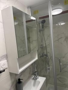 Appartements Studio very close to ligne 13 tram 5 Saint-Denis : photos des chambres