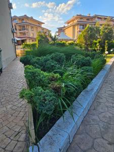 Apartments Anna on Saint Vlas