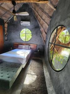 Experiencia natural única Tulum